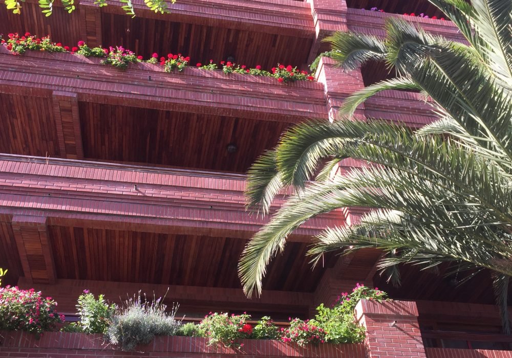 VEINTE VIVIENDAS EN M. PELAYO. CASTRO